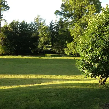 Chateau Saint Vincent 3* Regnie-Durette