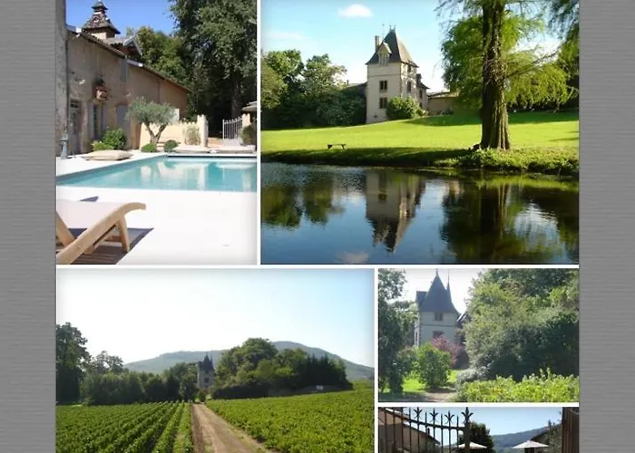 Bed & Breakfast Chateau Saint Vincent Regnie-Durette