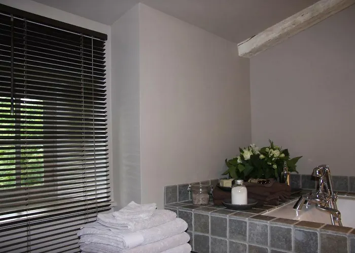 Chateau Saint Vincent 3* Regnie-Durette