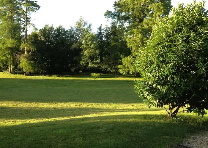 Chateau Saint Vincent 3* Regnie-Durette