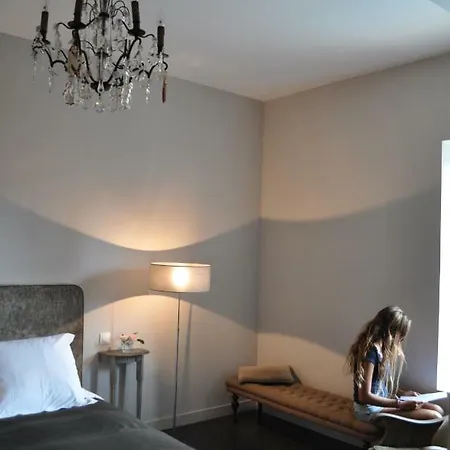 Chateau Saint Vincent Bed & Breakfast Regnie-Durette