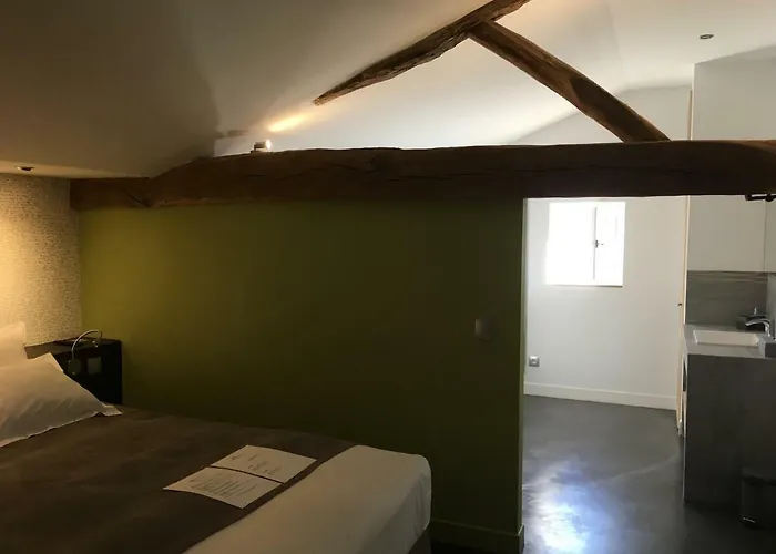 Chateau Saint Vincent Bed & Breakfast Régnié